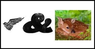 You can even find them in the sea.