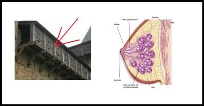 You rub it, you sting it.