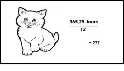 It has often been confused with the dahut.