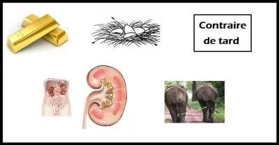 Three animals in one.