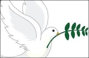 This bird is a white ... . It is the symbol of peace.