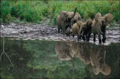 will end our journey with the inhabitants of a city in a beautiful country, still almost preserved, the "Port-Gentillais"! 