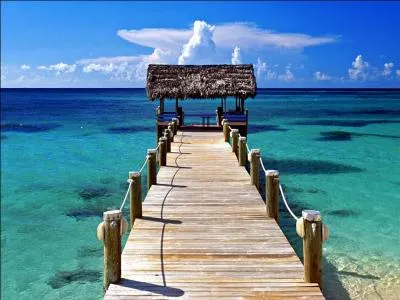 It was discovered by Christopher Columbus, an Italian explorer who was looking for a way to reach East Indies. However, he did not land in the US but in another country :