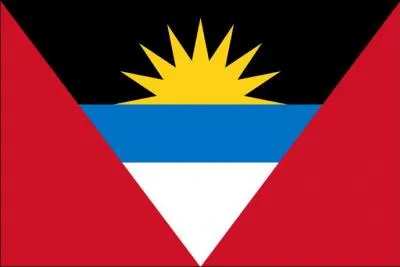 Who does this flag belong to?