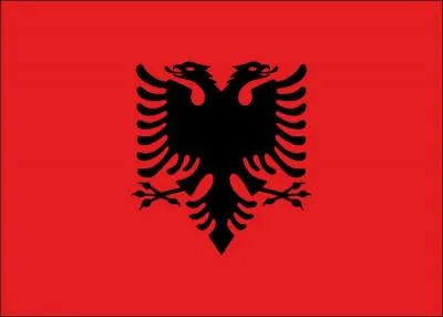 Who does this flag belong to?