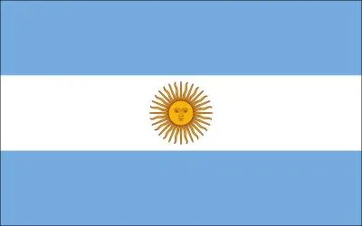 Who does this flag belong to?