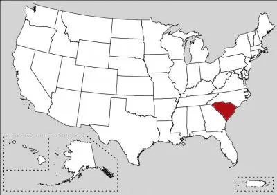 You can notice a white palmetto tree on an indigo field in the flag of this state.