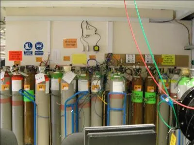 What is our average monthly spend on gas cylinder rental over the last 12 months?