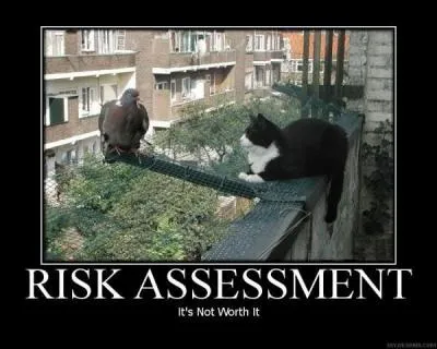 Which of the following is not one of our company Risk assessments?