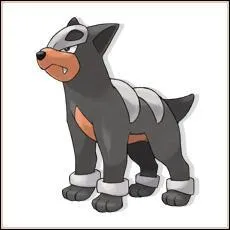 Who is this Pokemon?