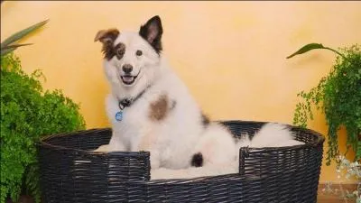 What does he keep secret?