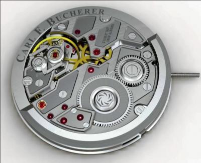 Which of the following materials is not used in watch movements?
