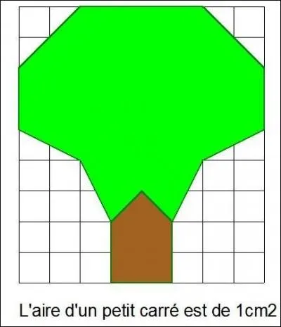 What is the area of the tree with the trunk?