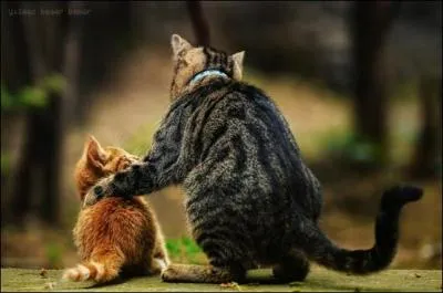 An argument that can turn ugly!