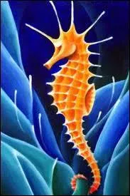 The hippocampus is called "Seahorse"