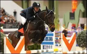 A horse has already jumped more than 2 meters