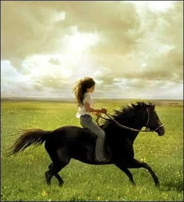 The gallop is a 4-count gait