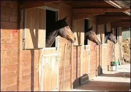The horse bedding can be made of wood shavings