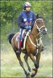 In endurance competition, the longest distance is 200 km.