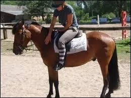 In the movement of the hips, the retreating leg is called the isolated leg