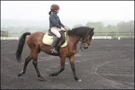 The reverse half-volte is the opposite of the half-volte