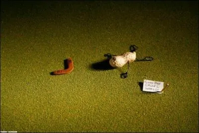 Examine the image to find the country!