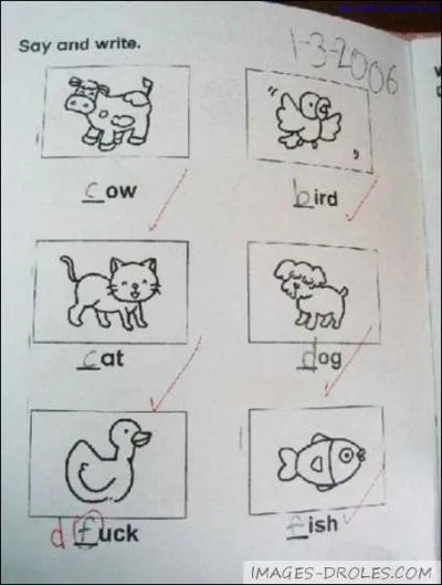 What is the name of the duckling? (Female duck)