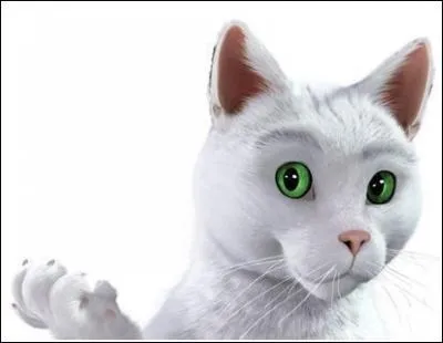 Whose mascot is a white cat with green eyes?