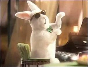 This rabbit belongs to ...