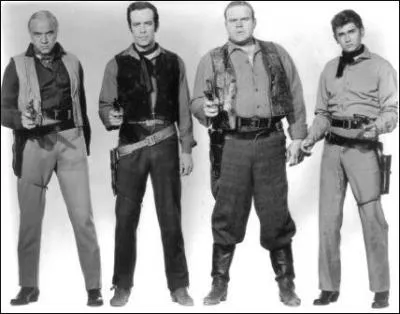 In the show Bonanza what was the name of the family?