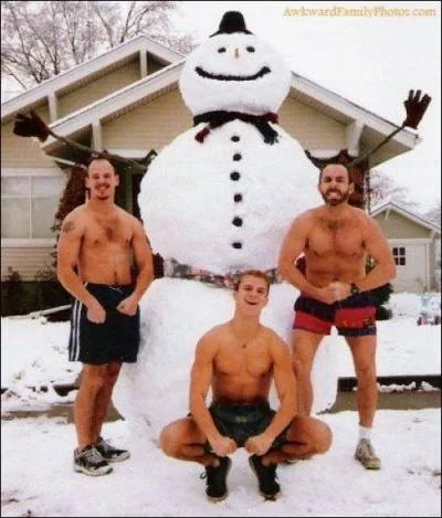 In general, what does a snowman use as a nose?