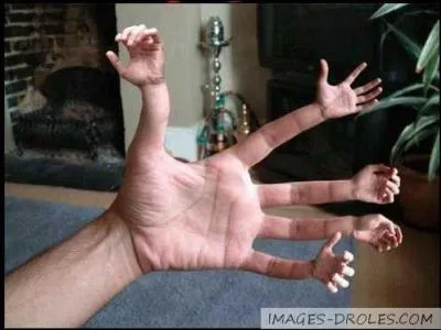 On the 2 hands, how many phalanges are there ?