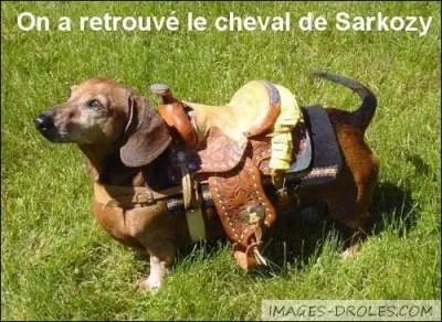 How long did Nicolas Sarkozy remain president of the French Republic ?