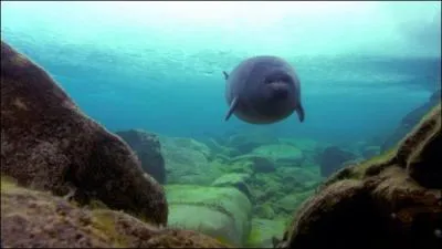 How ... is lake Baikal? 1637 m.