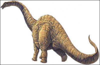 How ... was the Argentinosaurus dinosaur? 80 to 100 tons.