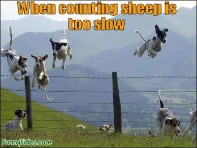 What part of speech is  promptly ?