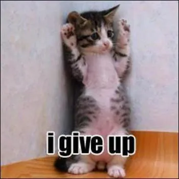 All of these words are similar to  persistent  EXCEPT...