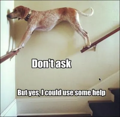 Which of these sentences is the most correct usage of  persistent ?