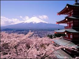 What type of Visa is required for Japan?