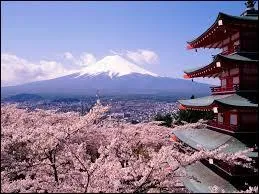 What type of Visa is required for Japan?