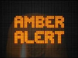 What Child Abduction service was created for Amber