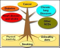 What does NCD stand for?