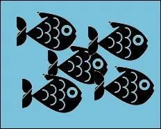 What do you call a group of fishes swimming together?