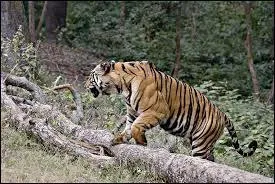 First national park of India ?