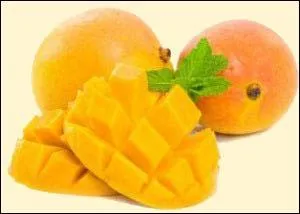 Where is Alphonso mango grown ?
