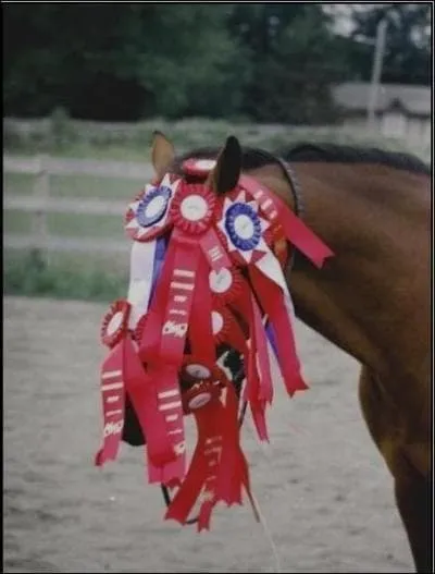 The Vincennes racecourse was built in the __th century.