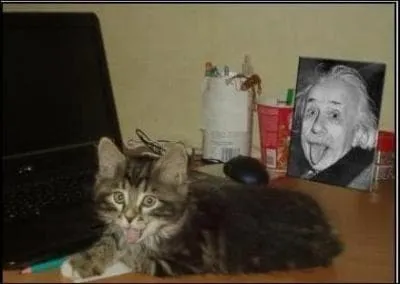 What is Albert Einstein's famous theory?