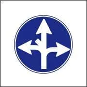 Meaning of the picture