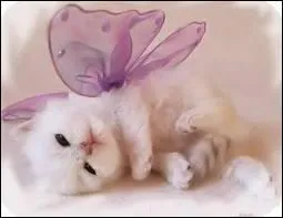 The mayor's daughter is coming to visit the studio. What is her name?