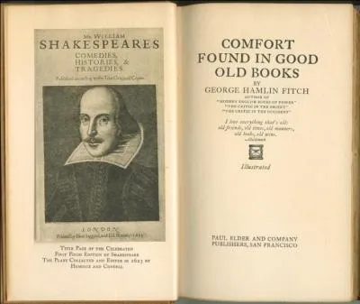 Right now, I am reading an ... book